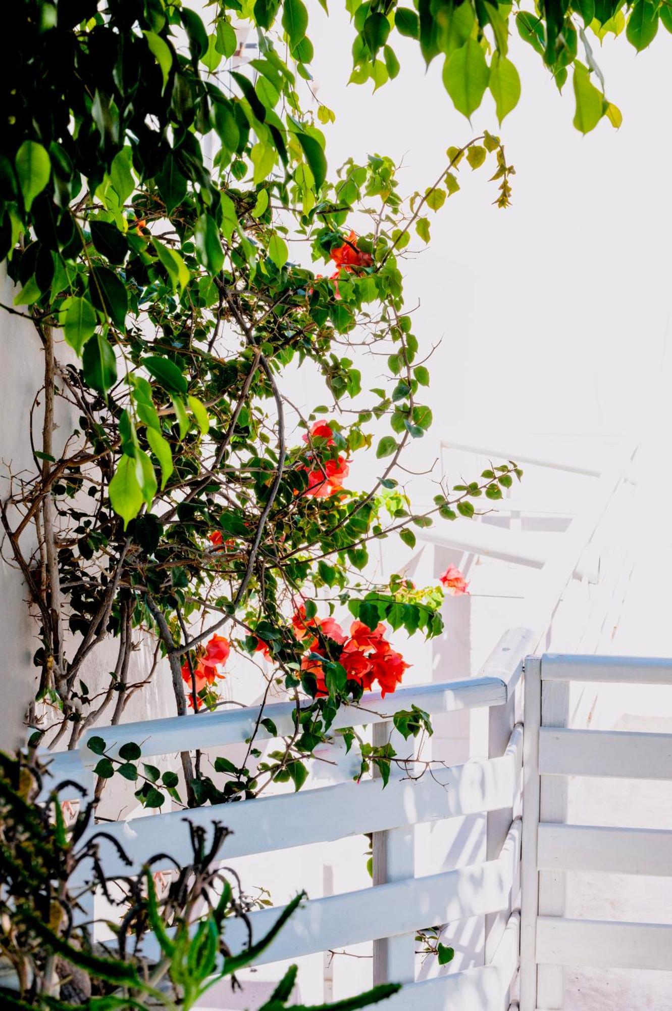 Kamarela Studios Kamári المظهر الخارجي الصورة