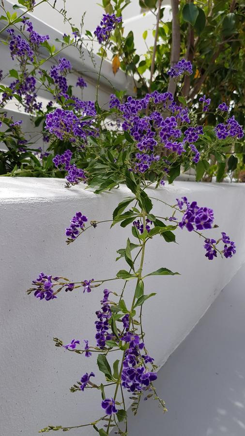 Kamarela Studios Kamári المظهر الخارجي الصورة